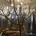 Design week